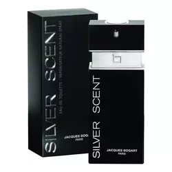 Perfume Silver Scent Masculino 100ML 0 - Ao Barulho Calçados