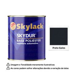 SKYLACK BP PRETO GALES PER. FORD 07/20 900ML - 020... - GS Tintas