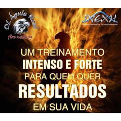 DL ÁGUIA REAL - 877 - CENTRAL DE CURSOS