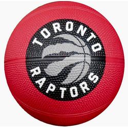 Mini Bola Basquete 15cm Infantil ate 4 anos - J.F.M. JFIT SPORTS LTDA