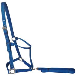 CABRESTO QUARTO DE MILHA GH AZUL - 1934 - Jumping Horse