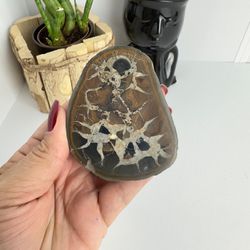 PEDRA SEPTARIA OU SEPTARIANA - PEÇA ÚNICA / COD 01 - Ktw Cristais