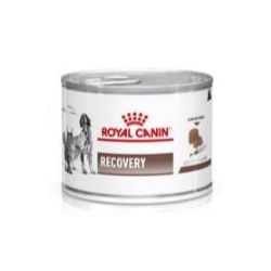 CARNE CAO/GATO RC RECOVERY 195G - LABORAVES