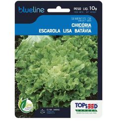 HORTALICA SEMENTE BLUELINE CHICORIA ESCAROLA 10G - LABORAVES