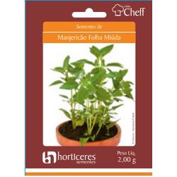HORTALICA SEMENTE PLATINA MANJERICAO FOLHA MIUDA 2 - LABORAVES
