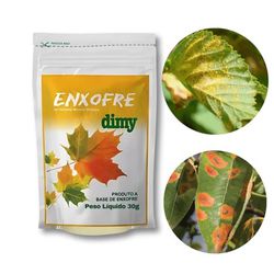 ENXOFRE DIMY 30G - Laboraves