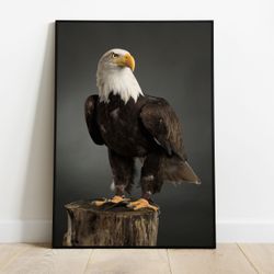 Aguia 01 - Quadro com Moldura - Preto, Marrom, Rús... - Las Quadros