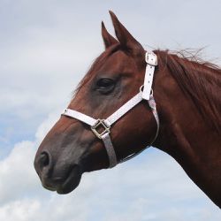 Cabresto para Cavalo Nylon Estampado Boots Horse 3908
