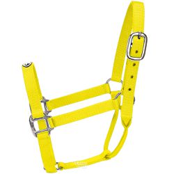 Cabresto para Cavalo Nylon Amarelo Boots Horse