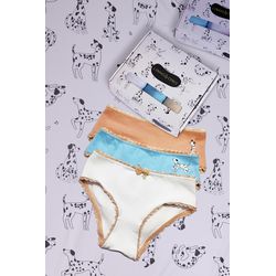 Kit Calcinha Pet Friend - Pet Friends - Linhas & Cores