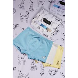Kit Cueca - Pet Friends - Linhas & Cores