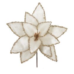 Flor De Natal Bico De Papagaio Aveludado Champagne... - BARBIZAN DECORE