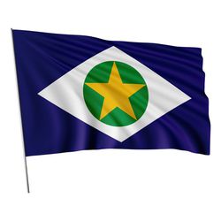 Bandeira Em Tecido De Estados Brasileiros 1,50x1,00 - LT109 - Genial Mix 