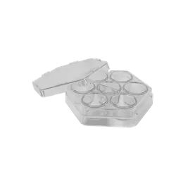 Placa de 6 Poços - 347654 - WTA Medical 