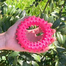 Anel Brinquedo Porte Pequeno - Big Bull Pet - Atacado BIGBULL