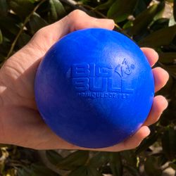 Bolinha Lisa Porte Grande - Big Bull Pet - Atacado BIGBULL