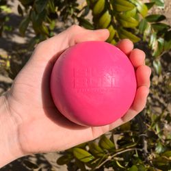 Bolinha Lisa Porte Médio e Grande - Big Bull Pet - Atacado BIGBULL