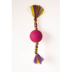 Dental Bone Bola Lisa 45mm - Big Bull Pet - Atacado BIGBULL