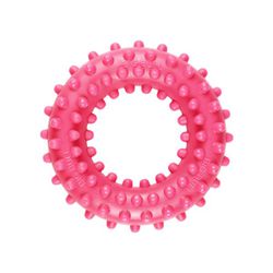 Anel Brinquedo Porte Pequeno - Big Bull Pet - Atacado BIGBULL