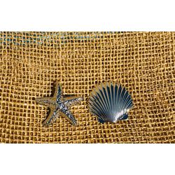 PRESILHAS - KIT COM 2 UNIDADES - ESTRELA + CONCHA ... - MONOWI 