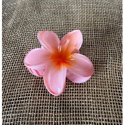 PIRANHA FLOR - TOM DE SALMÃO COM LARANJA - PRNF01... - MONOWI 