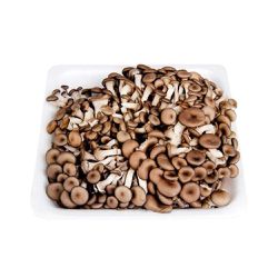 SHIMEJI PRETO (200 GR) - MURAKAMI DISTRIBUIDORA