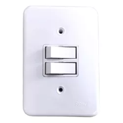 INTERRUPTOR 2 TECLAS PARALELAS 10A RADIAL 1901.006... - OLDRIVER
