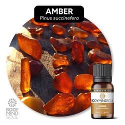 Óleo Absoluto Âmber Âmbar - Pinus Succinefera - BM... - ÓLEOS NATURA OFICIAL