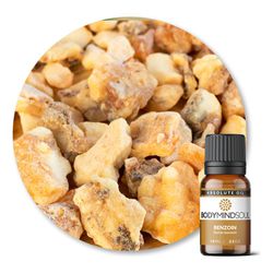 Óleo Absoluto Benjoin Resina - Benzoin Resin - BMS... - ÓLEOS NATURA OFICIAL