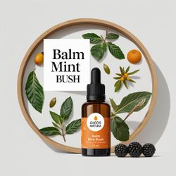 Óleo Essencial Balm Mint Bush - Hortelã Menta Arbu... - ÓLEOS NATURA