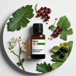 Óleo Absoluto CASSIS, GROSELHA PRETA - Blackcurran... - ÓLEOS NATURA