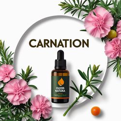 Óleo Absoluto Carnation - Craveiro - BMSOACARNATIO... - ÓLEOS NATURA