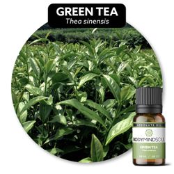 Óleo Vegetal Green Tea - Chá Verde - BMSOVGREEMTEA... - ÓLEOS NATURA OFICIAL