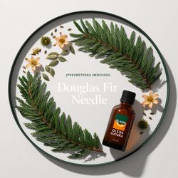 Óleo Essencial ABETO DOUGLAS - DOUGLAS FIR NEEDLE ... - ÓLEOS NATURA OFICIAL