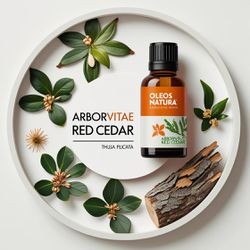 Óleo Essencial Arborvitae Red Cedar - Cedro Vermel... - ÓLEOS NATURA