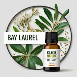 Óleo Essencial Louro Folhas - Bay Laurel - BMSOEFO... - ÓLEOS NATURA