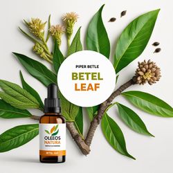 Óleo Essencial Folhas Betel - Betel Leaf - BMSOEBE... - ÓLEOS NATURA