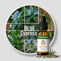 Óleo Essencial Cipreste Azul - Blue Cypress - BMSO... - ÓLEOS NATURA