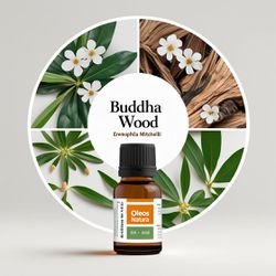 Óleo Essencial Madeira De Buddha - Buddha Wood - B... - ÓLEOS NATURA