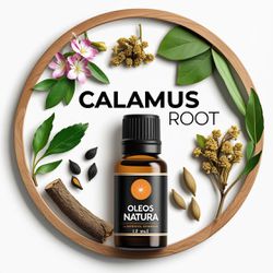 Óleo Essencial Raiz Calamo - Calamus Root - BMSOER... - ÓLEOS NATURA