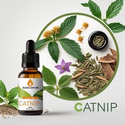 Óleo Essencial Erva Dos Gatos - Catnip - BMSOECATN... - ÓLEOS NATURA