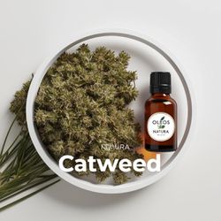 Óleo Essencial ERVA DOS GATOS - CATNIP - BMSOECATN... - ÓLEOS NATURA OFICIAL