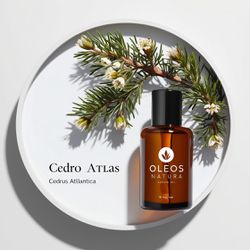 Óleo Essencial Cedro Do Atlas - Cedarwood Atlas - ... - ÓLEOS NATURA