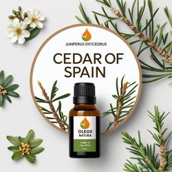 Óleo Essencial Cedro Da Espanha - Cade - BMSOECEDR... - ÓLEOS NATURA