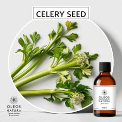 Óleo Essencial Semente De Aipo, SalsÃo - Celery Se... - ÓLEOS NATURA