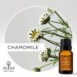 Óleo Essencial CAMOMILA - CHAMOMILE - BMSOECAMOMIL... - ÓLEOS NATURA OFICIAL