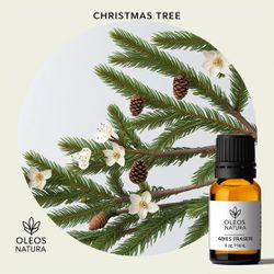 Óleo Essencial PINHEIRO NATALINO - CHRISTMAS TREE ... - ÓLEOS NATURA OFICIAL