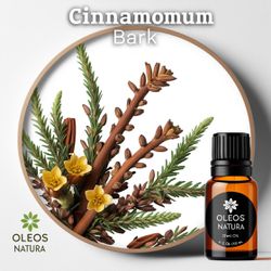 Óleo Essencial CASCA CANELA - CINNAMON BARK - BMSO... - ÓLEOS NATURA OFICIAL