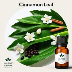 Óleo Essencial FOLHA CANELA - CINNAMON LEAF - BMSO... - ÓLEOS NATURA OFICIAL