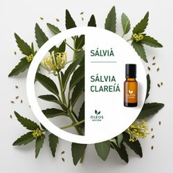 Óleo Essencial SÁLVIA ESCLARÉIA - CLARY SAGE - BMS... - ÓLEOS NATURA OFICIAL
